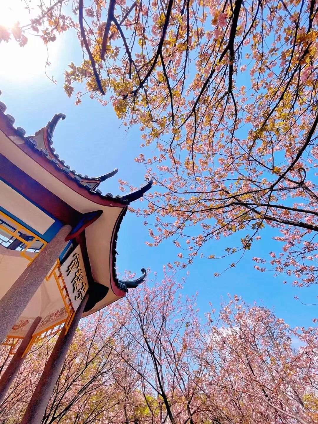 3044am永利集团官网