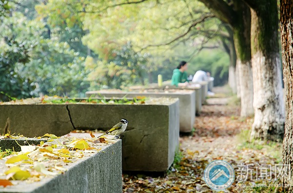 3044am永利集团官网